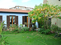 CasaDX